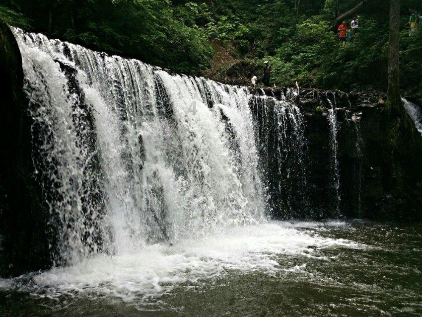 春雨直播app