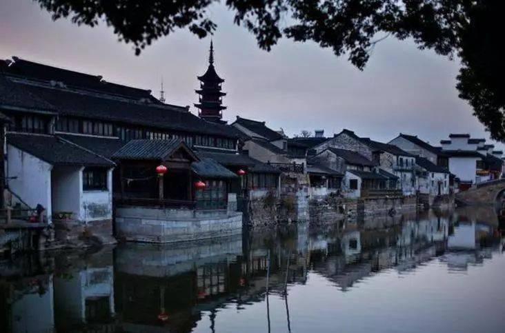 动物帮帮忙保卫家园