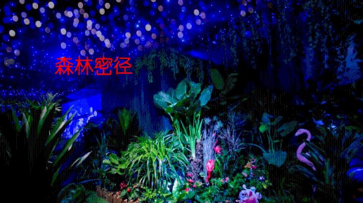 小猫钓鱼开船版最新版下载
